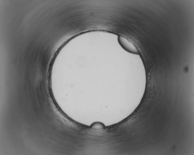 X0000116511135201001061217