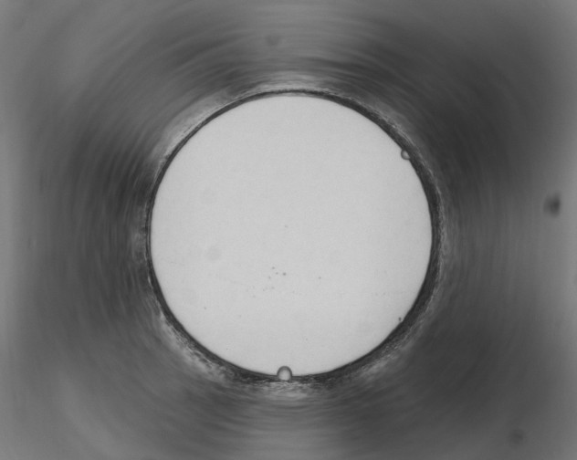 X0000116511137201001061217