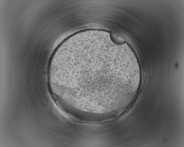 X0000116511141201001061217