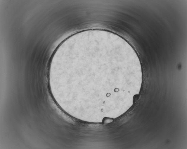 X0000116511142201001061217