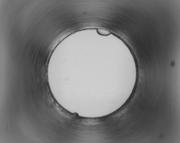 X0000116511145201001061218