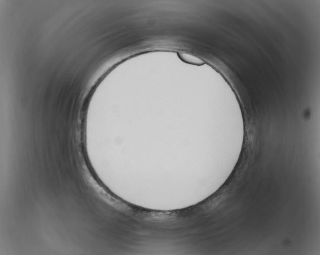 X0000116511147201001061218