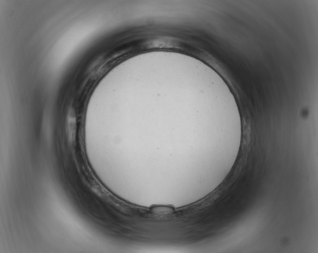 X0000116511151201001061218