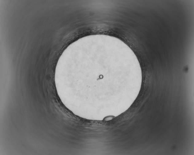 X0000116511153201001061217