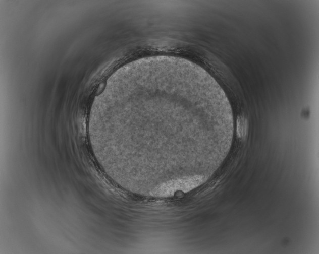 X0000116511155201001061217