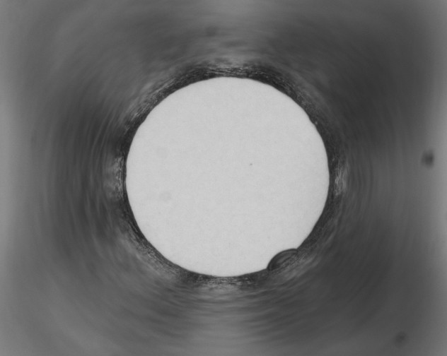X0000116511156201001061217