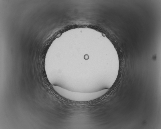 X0000116511157201001061217