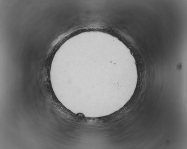 X0000116511160201001061217