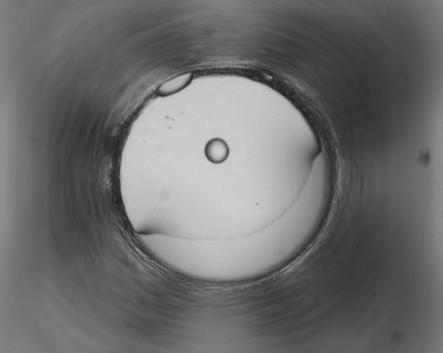 X0000116511161201001061217