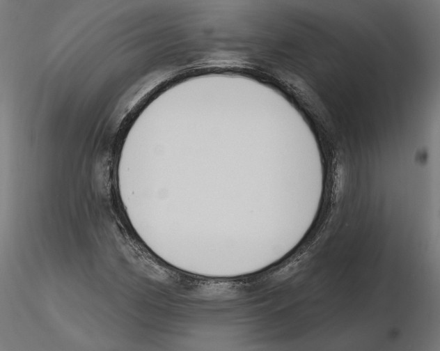 X0000116511162201001061217