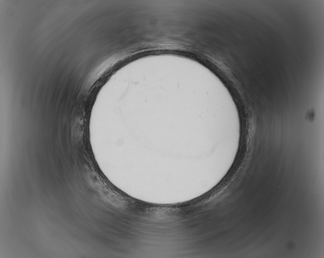 X0000116511163201001061217