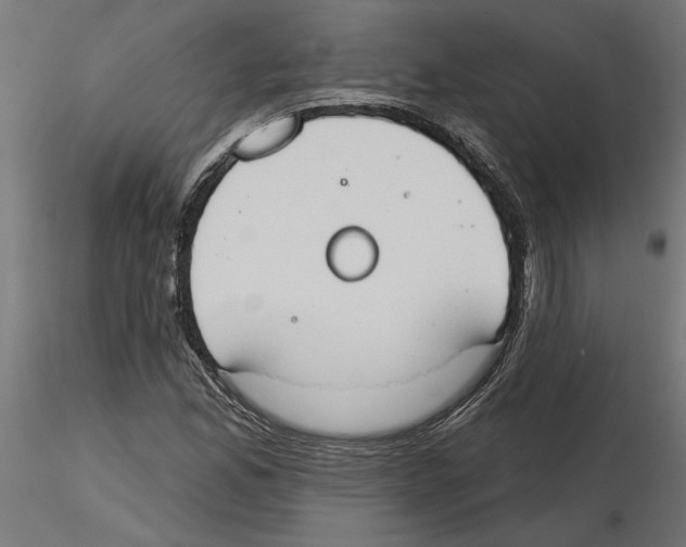 X0000116511165201001061217