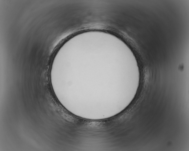 X0000116511166201001061217