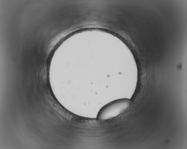 X0000116511167201001061217