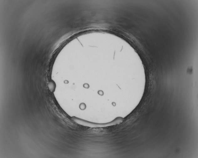 X0000116511168201001061217