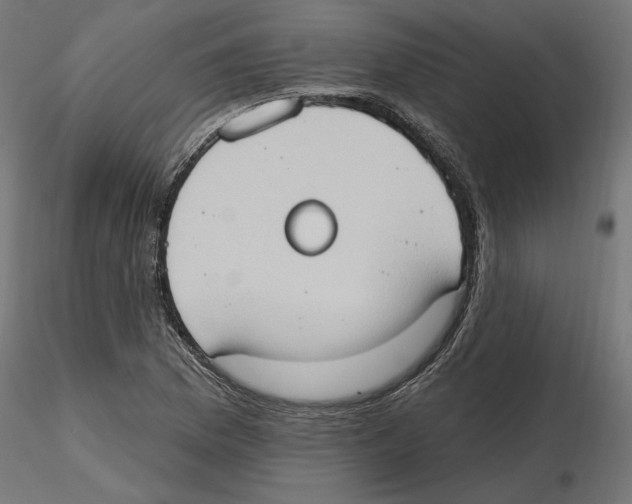 X0000116511169201001061217