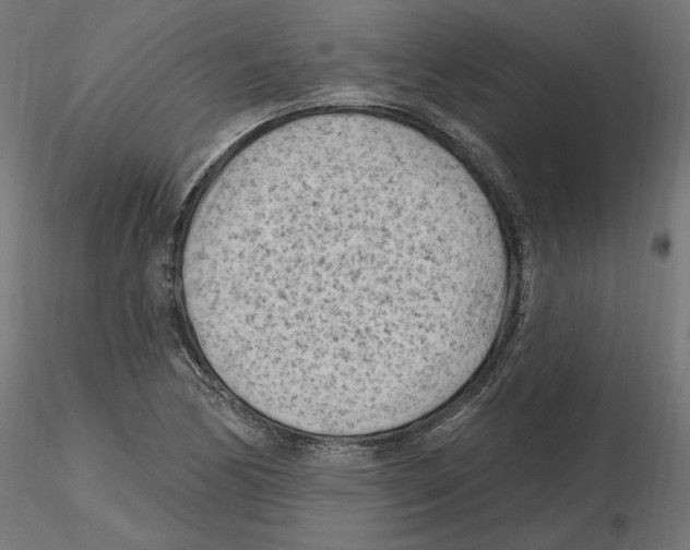 X0000116511170201001061217