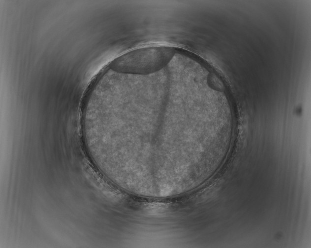 X0000116511173201001061217