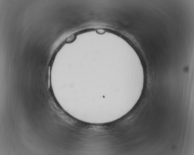 X0000116511175201001061217