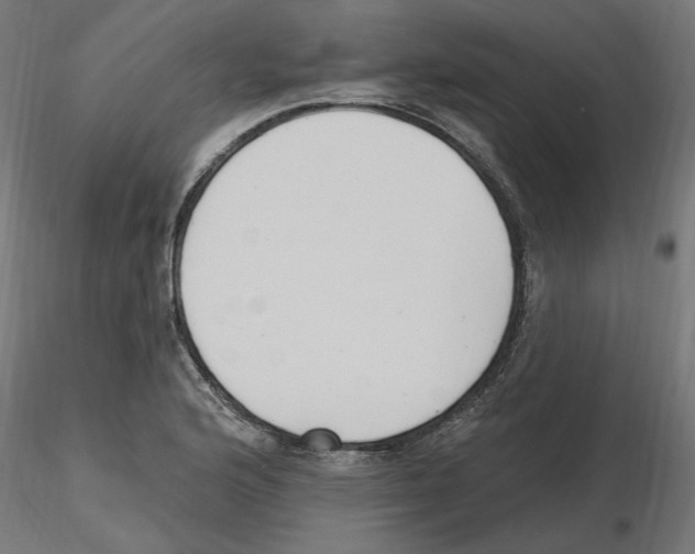 X0000116511176201001061217
