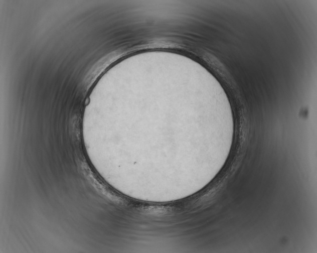 X0000116511177201001061217