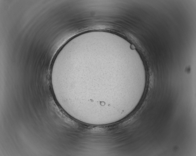 X0000116511178201001061217