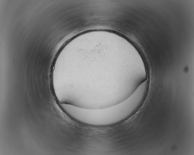 X0000116511181201001061217