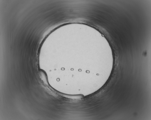 X0000116511184201001061217