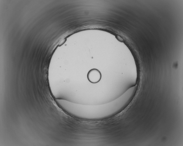 X0000116511185201001061217