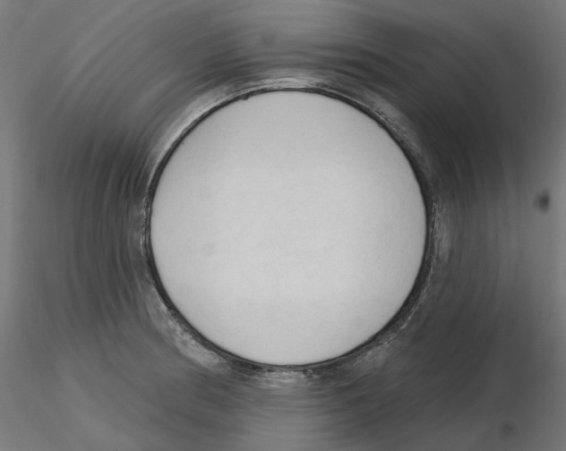 X0000116511186201001061217