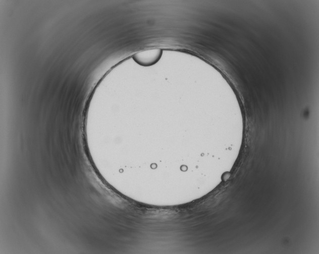 X0000116511187201001061217