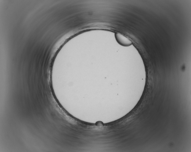 X0000116511188201001061216