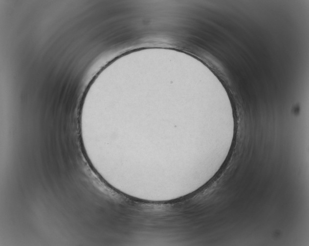 X0000116511192201001061216