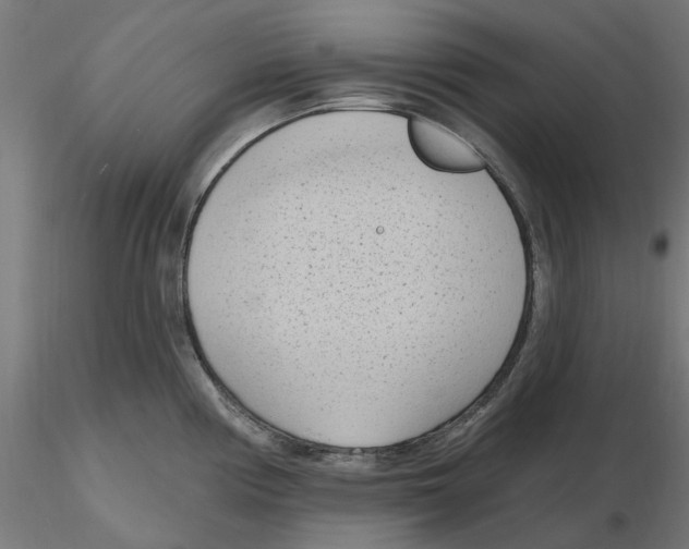 X0000116511194201001061216