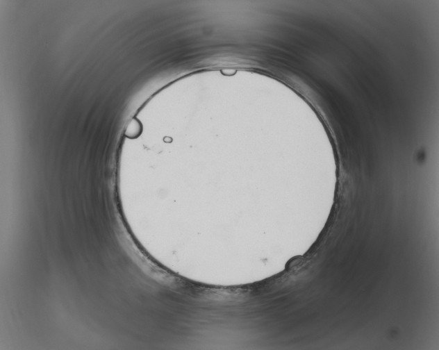 X0000116511195201001061216