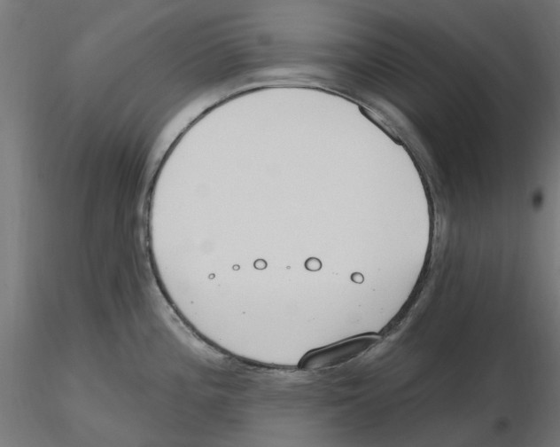 X0000116511196201001061216