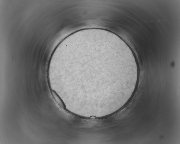 X0000116511197201001061216