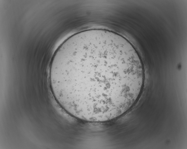 X0000116511198201001061216