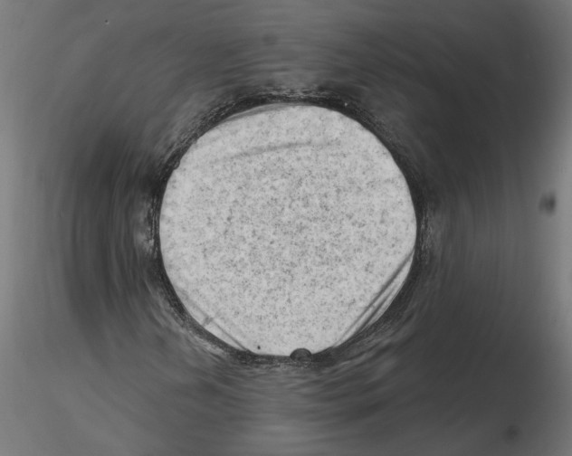X0000116511202201001061216
