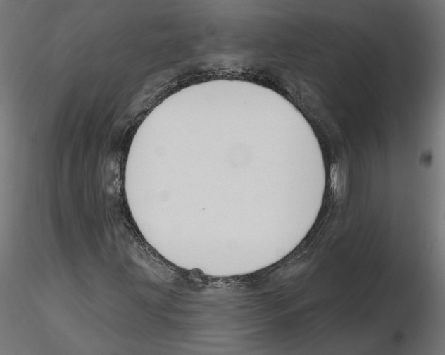 X0000116511203201001061216