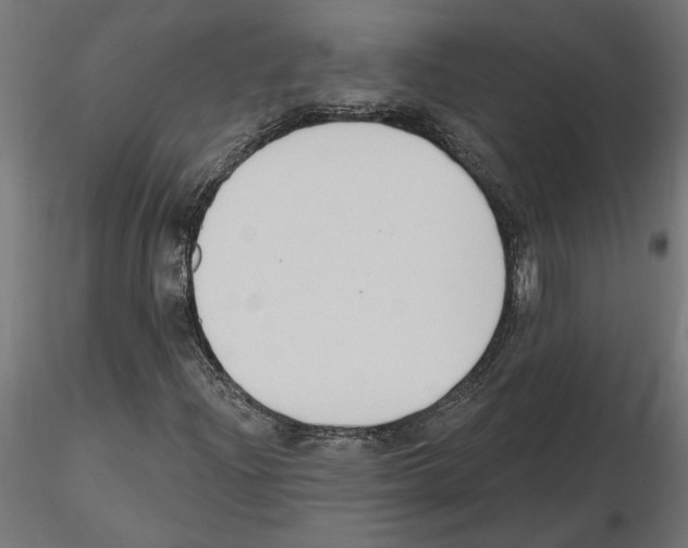 X0000116511204201001061216