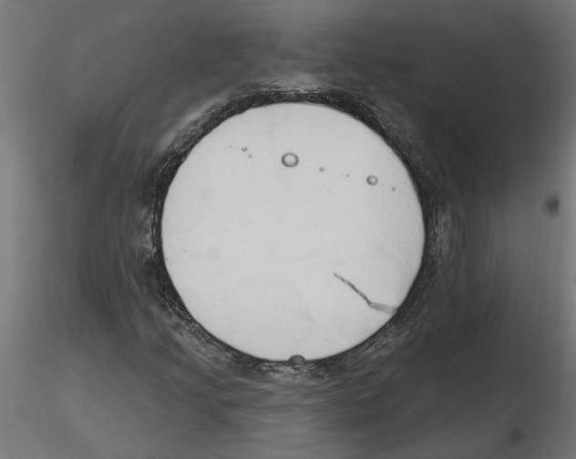 X0000116511205201001061216