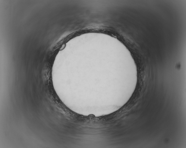 X0000116511206201001061216