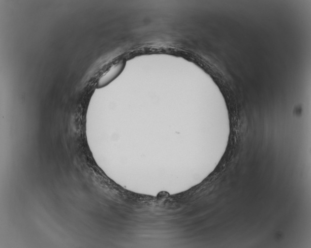 X0000116511207201001061216