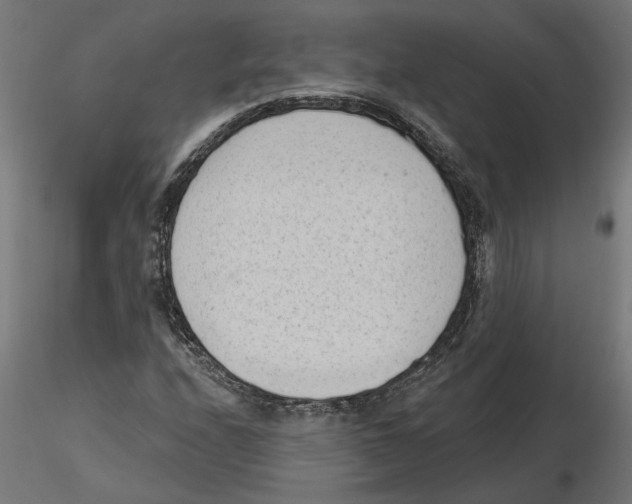 X0000116511208201001061216