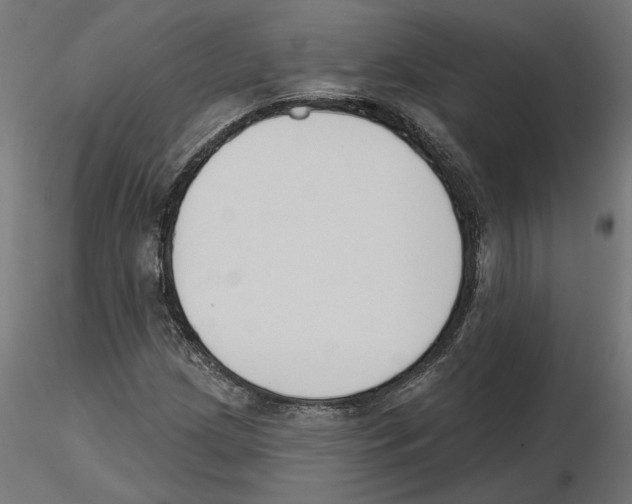 X0000116511209201001061216