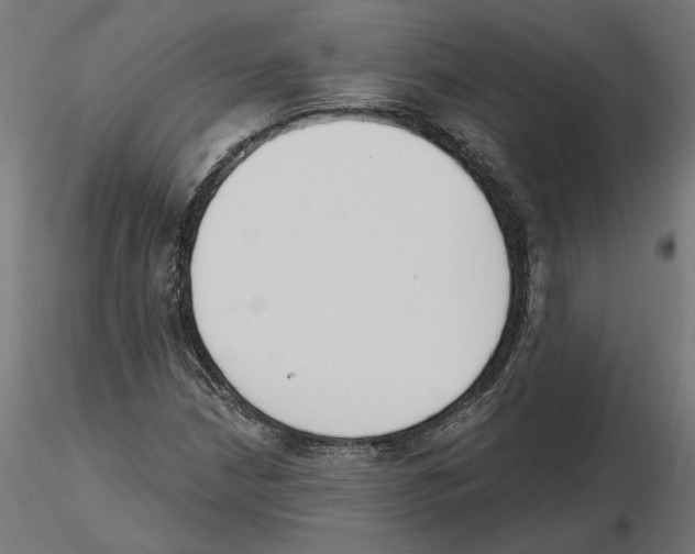 X0000116511210201001061216