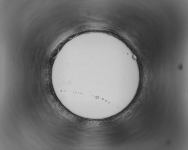 X0000116511211201001061216
