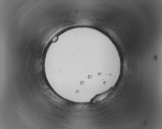 X0000116511212201001061216