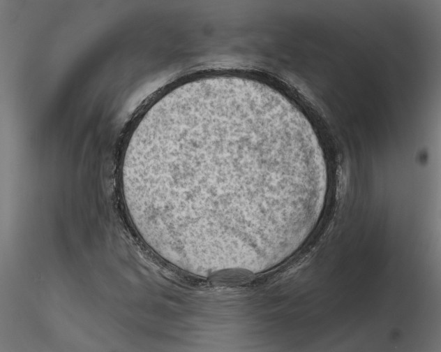 X0000116511213201001061216